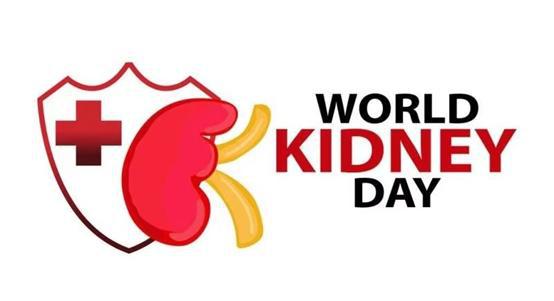 世界肾病日 北京佑安医院健康咨询活动与软件开发在医疗中的创新应用